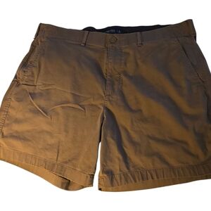 Abercrombie & Fitch Brown Flat Front Shorts